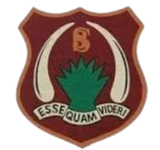 Chania High School crest
